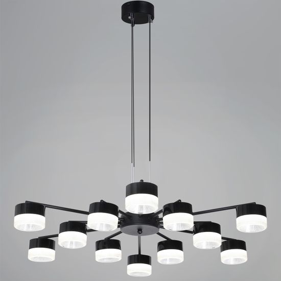 19490-0.4-6+6 Black светильник потолочный