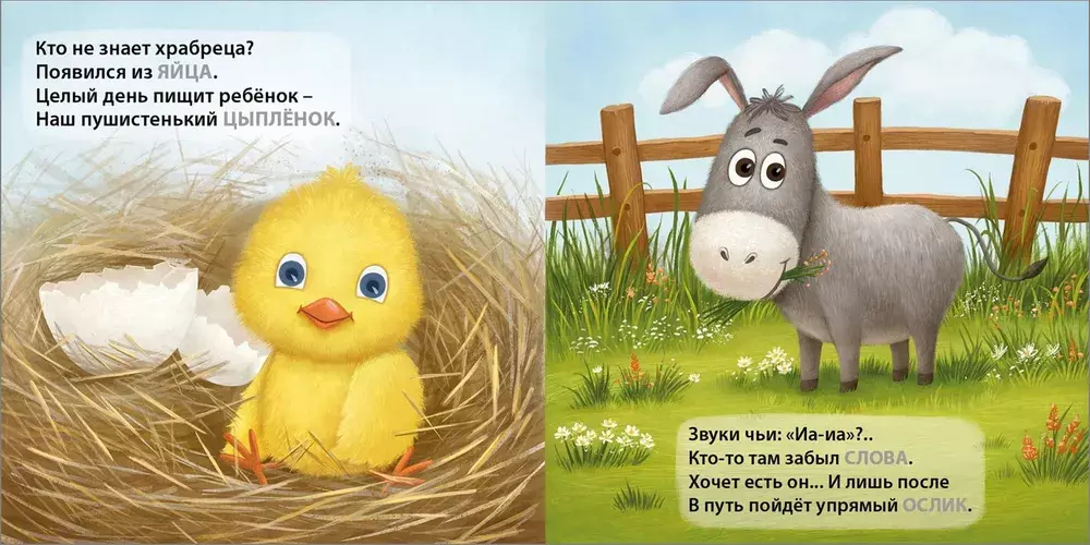 Книжки - картонки. Загадки - рифмы. Домашние животные
