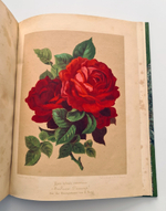 "Nestel`s Rosengarten. [  Сад роз Нестела]". E. Schweizerbartsche Verlagshandlung. 1869г.