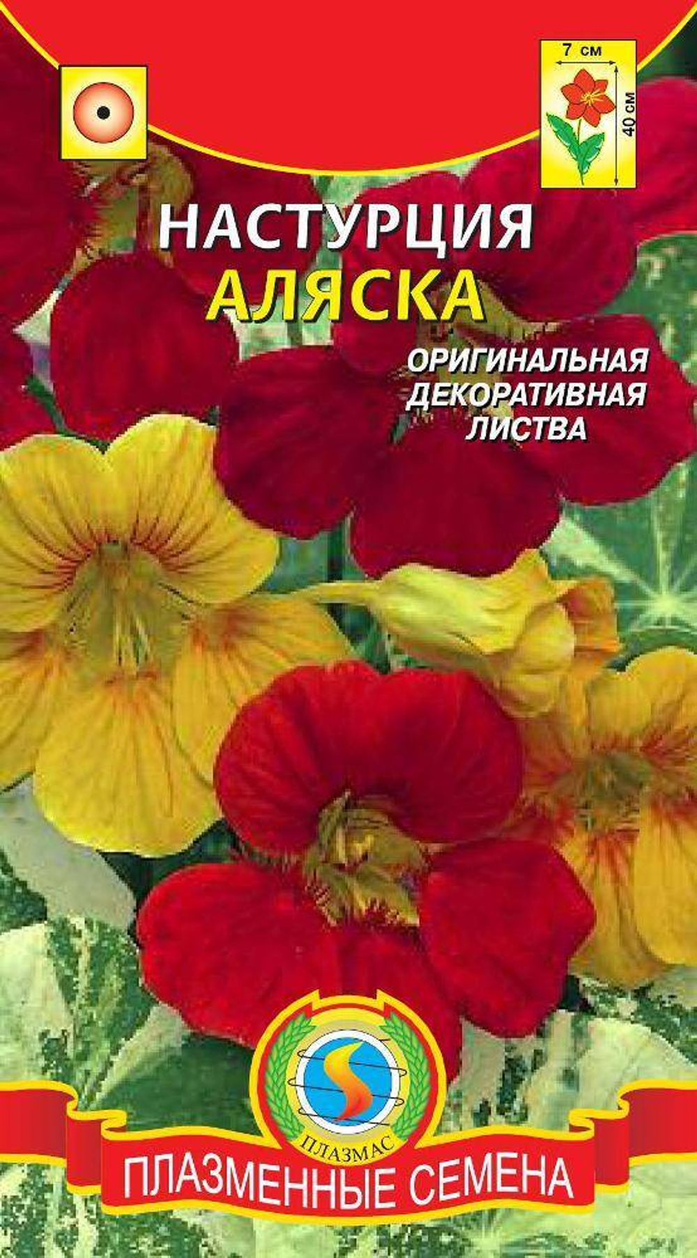 Настурция Аляска (Плазм Сем)