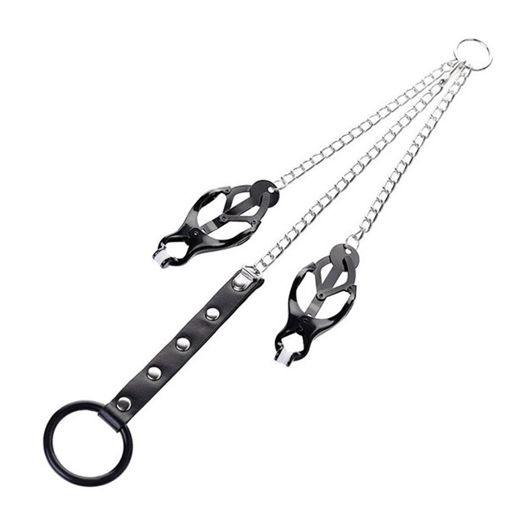 Черно-серебристые зажимы для сосков с кольцом для пениса ToyFa Metal 712050