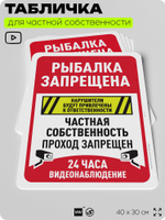 Табличка для частной территории "Рыбалка запрещена, частная собственность", на дом, для участка, организаций, предупреждающая, 40х30 см, Silver Plane x Айдентика Технолоджи