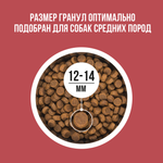 Bowl wow корм сухой сухой для взрослых собак средних пород с индейкой, курицей, рисом и свеклой