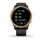 Garmin VENU черные с золотистым безелем