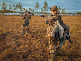 Карельские приключения: Охота на гуся с Шариковым "Часть 4"