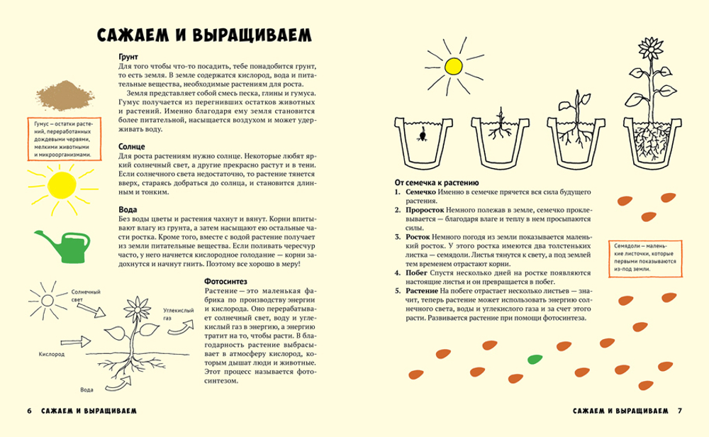 Белла Линде, Ванья Сандгрен «Мой первый огород. Посей, собери, съешь»