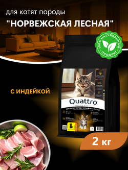 Корм сухой для котят породы Норвежская лесная, с индейкой, 2кг, QUATTRO