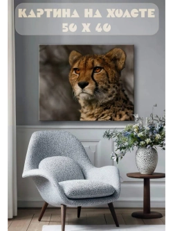 Картина на стену 40 X 50 Гепард