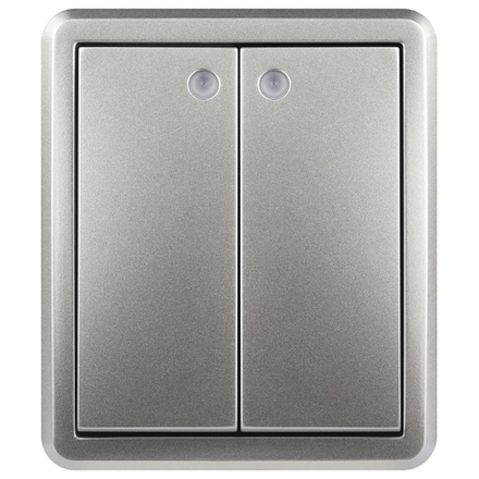 Выключатель ЭРА Эксперт 11-1205-03 двойной с подсветкой IP20 10АХ-250В ОУ алюминий