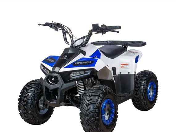 Квадроцикл YACOTA Raposa Pro Sport