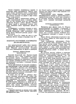 Атлас болезней плодовых и ягодных культур | Е.В. Исаичева