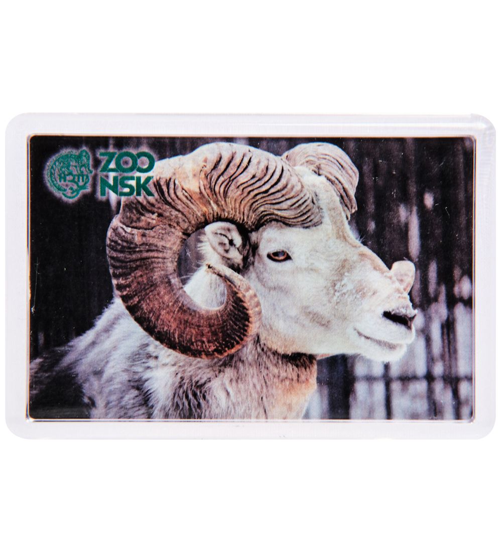 МТ- 001/06 Магнит «Новосибирский зоопарк»