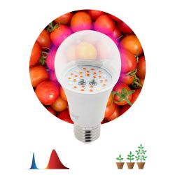 Фитолампа для растений светодиодная ЭРА FITO-10W-RB-E27 красно-синего спектра 10 ВТ Е27 | Фитолампы Е27