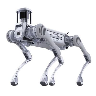Робот-собака DB2
