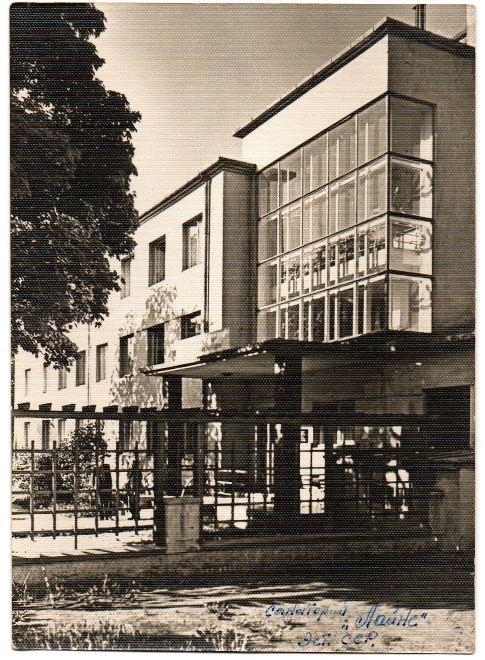 Фотооткрытка Эст. ССР Таллин сан. Лайне 1964 г. XF