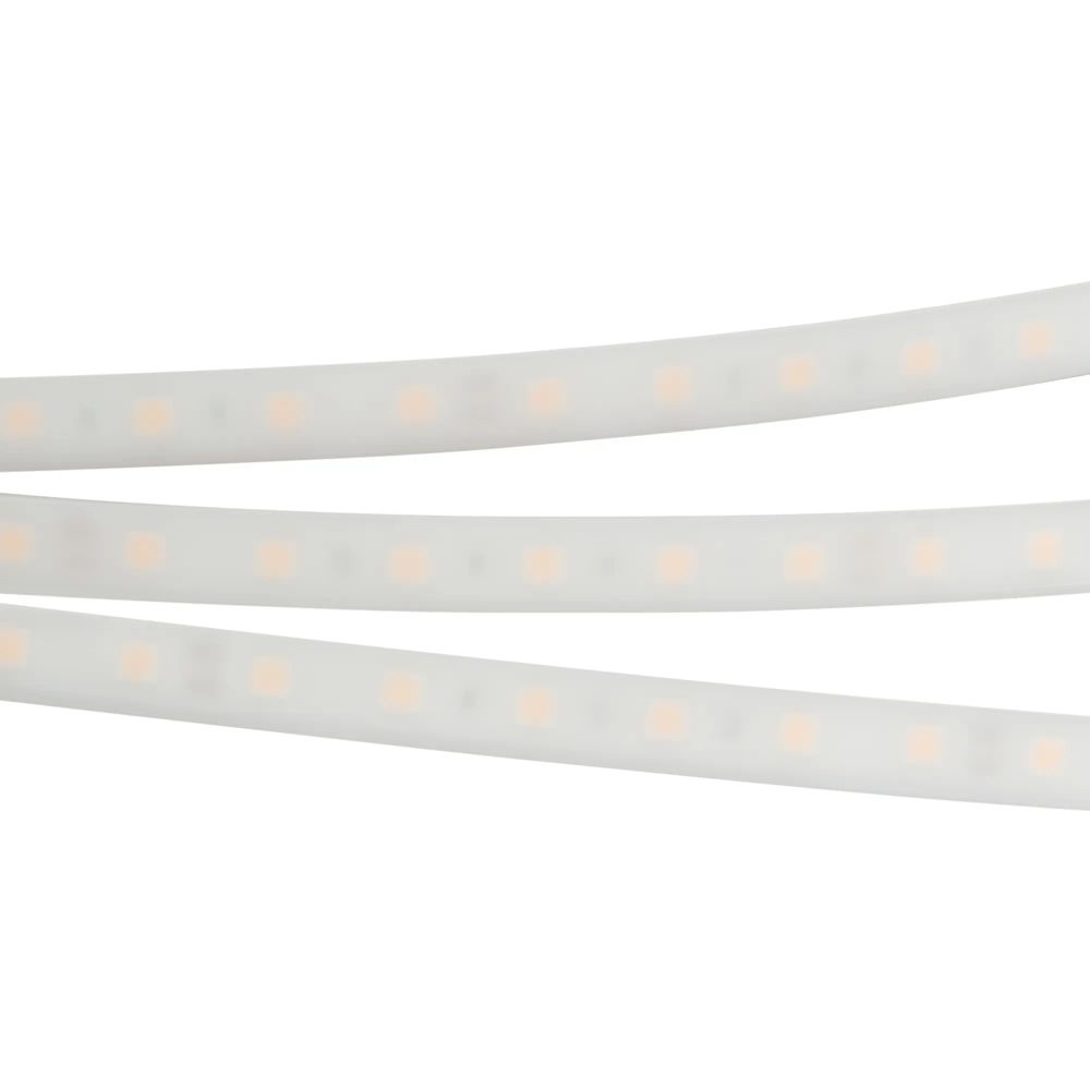 Светодиодная лента герметичная RTW-PW-B60-13mm 24V Day4000 (14.4 W/m, IP66, 5060, 5m) (Arlight, -) 016181(2)
