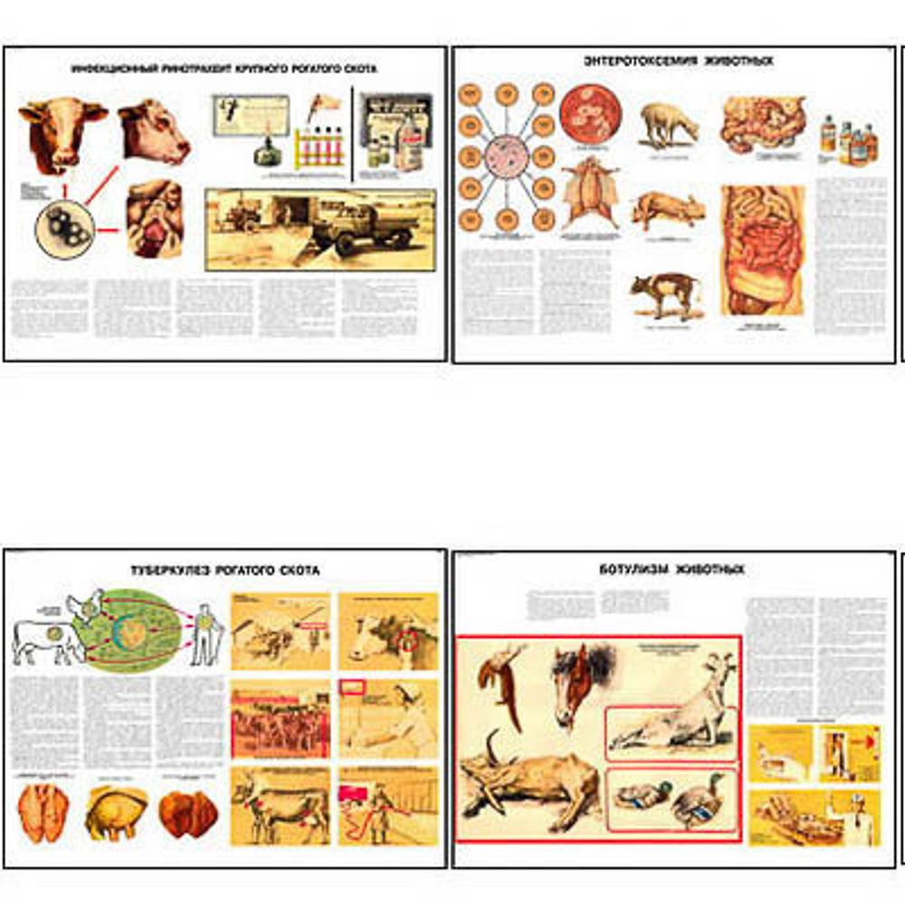 Плакаты ПРОФТЕХ &quot;Меры борьбы с заразными заболеваниями с/х животных и птицы&quot; (23 пл, винил, 70х100)