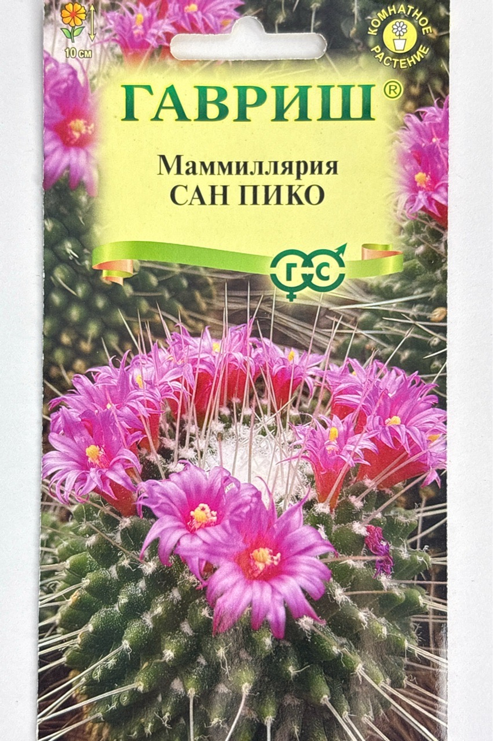Маммиллярия Толука (Кактус) Сан пико 2 шт CМЦ-932