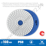 ЗУБР АГШК 100 мм, №50, мокрое шлифование, Алмазный гибкий шлифовальный круг (29866-050)