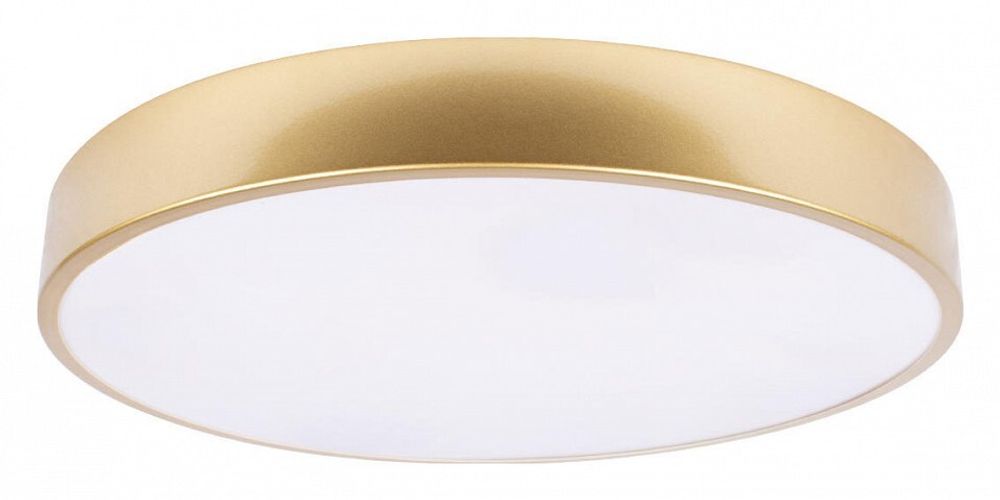 Накладной светильник Loft it Flims 10228/A