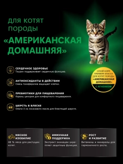 Корм для котят породы Американская домашняя, ягненок, 2 кг