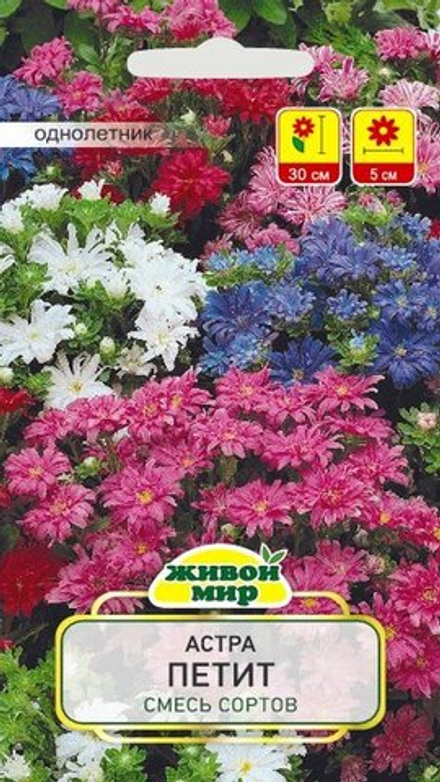 Астра карликовая "ЖМ. Пeтит" 0,5г., Польша.