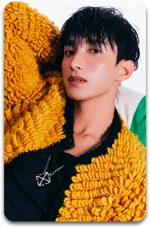 Карта #3850 / DK (SEVENTEEN)