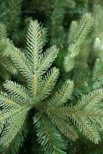 Елка с гирляндой «Валерио» (Литая+пвх) 180 см / 1,8 м