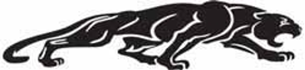 Наклейки Ком-т   на две стороны  03578  "Пума №1"  10*40см  (черный)