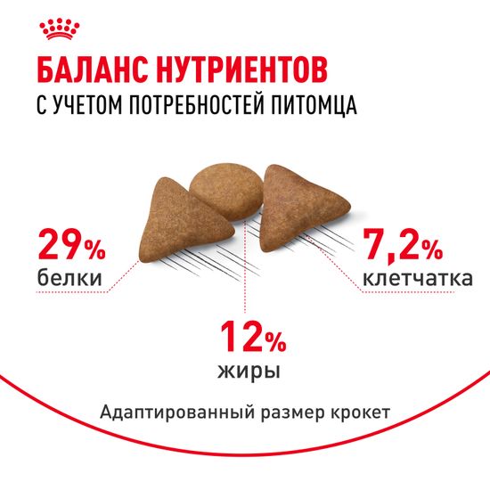 Royal Canin Indoor Appetite Control для взрослых домашних кошек и котов, склонных к перееданию