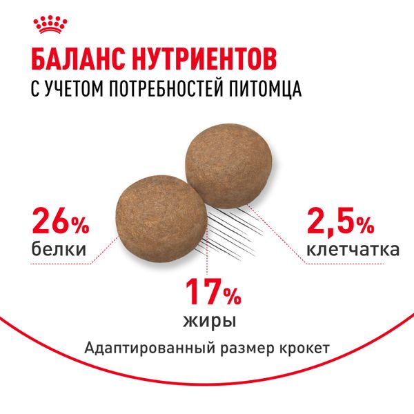 Уценка! Срок 05.07.26/ Сухой корм Royal Canin Maxi Adult 5+ для взрослых собак крупных размеров от 5 лет до 8 лет