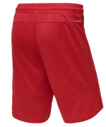 Шорты баскетбольные PerformDry Division Star, красный