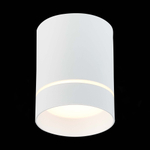 ST115.532.12 Светильник потолочный Белый LED 1*12W 3000K 840Lm Ra&gt;90 120° IP20 D79xH100 170-240V Накладные светильники