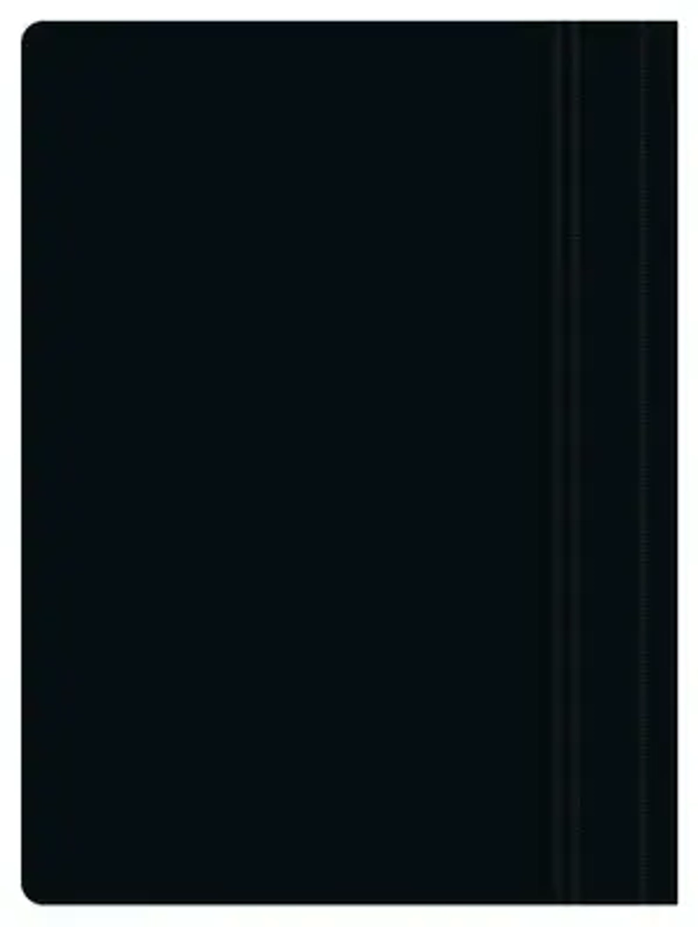 Папка-скоросшиватель арт.816294-PSL20blck, A4, пластик, бирюзовый, 20 шт\уп