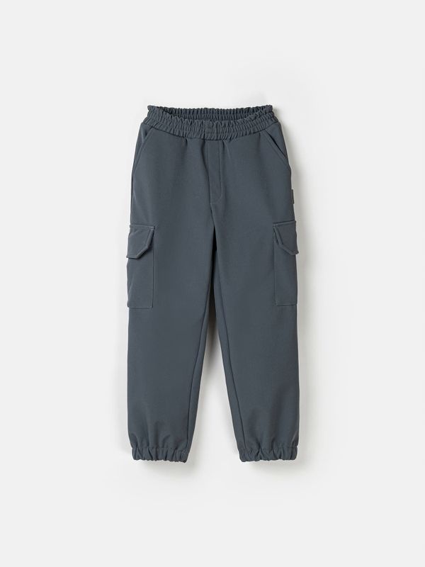 Брюки карго Softshell демисезонные 