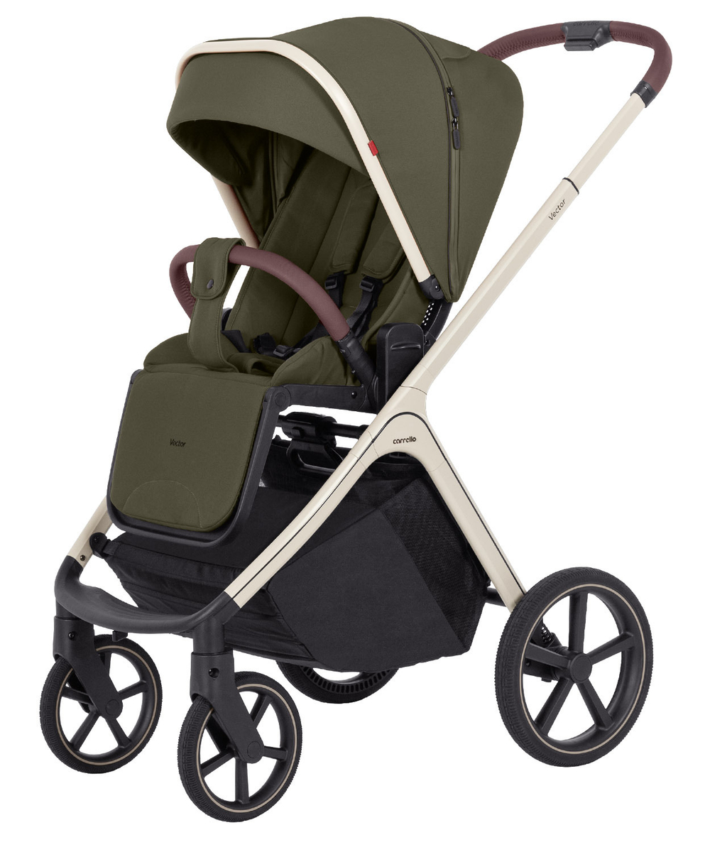 Коляска 2 в 1 Carrello Vector CRL-6550