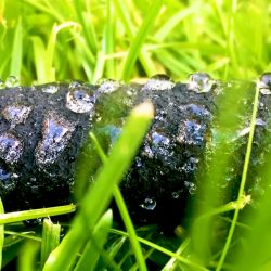 GWSH8-027 GREEN APPLE Шланг сочащийся для капельного полива, 12 мм , 10 м | Аксессуары для полива Green Apple