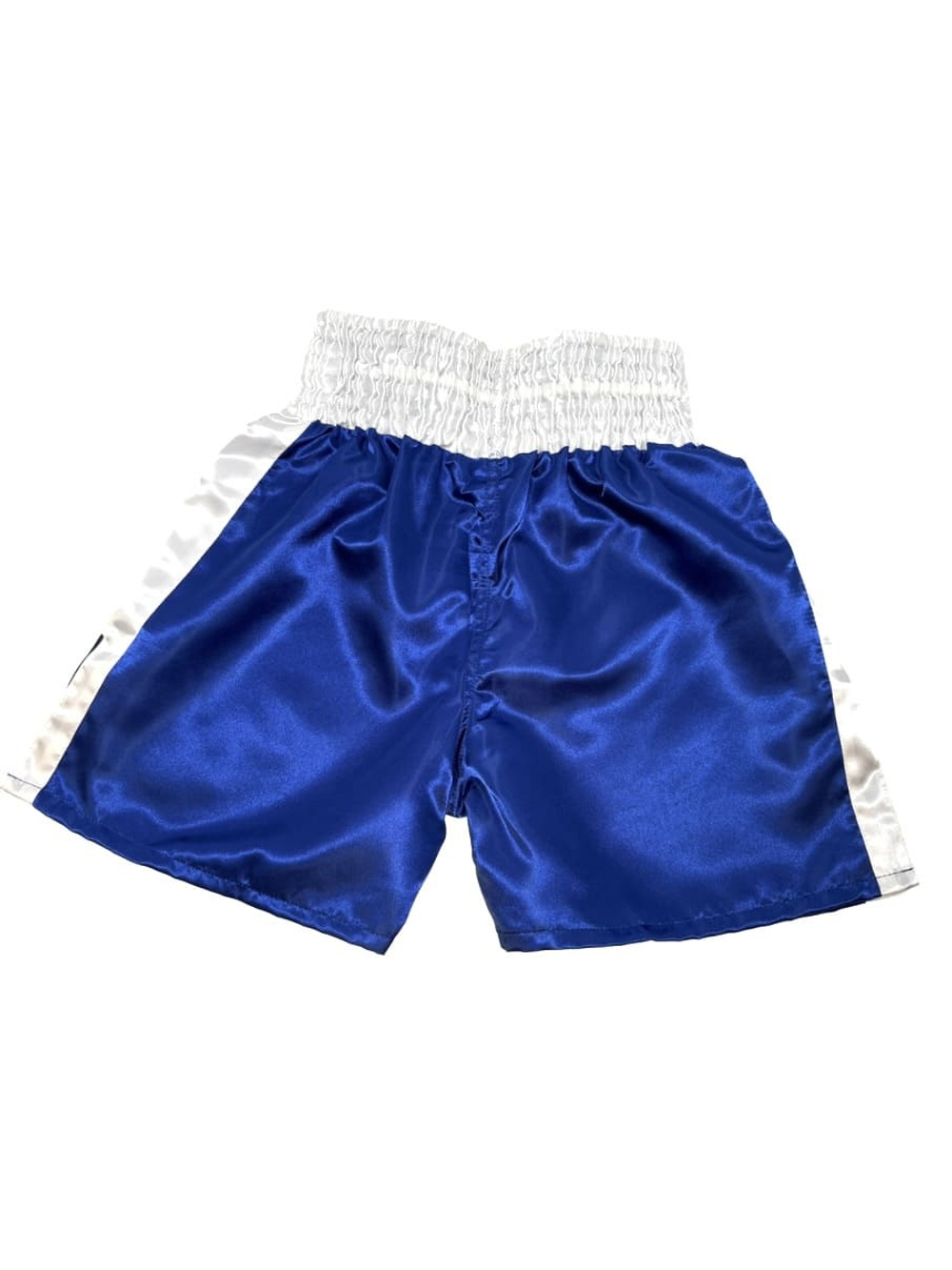 Шорты для бокса Tomorrow Star синие