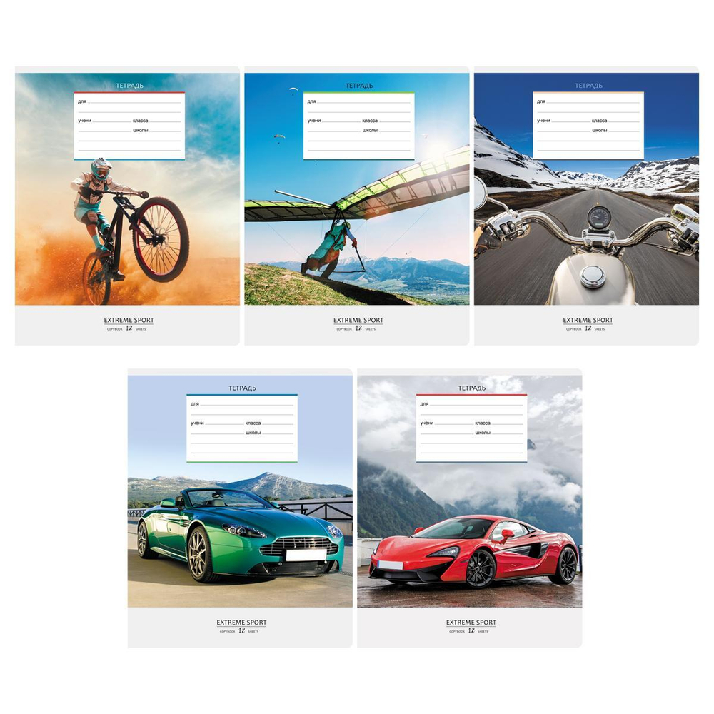 Тетрадь школьная А5 12л клетка, ассорт. "Спорт" (BG) микс цветов (комплект 3 шт)