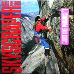 David Lee Roth / Skyscraper (LP)