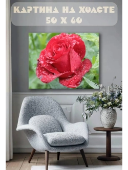 Картина на стену 40 X 50 Роза