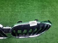 Решетка радиатора BMW X1 F48 (2019-2022)