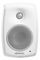 Genelec 4420AWM