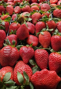 Клубника Сладкая