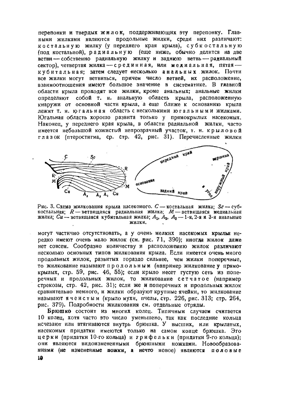 Наши насекомые. Краткий определитель наиболее обычных насекомых Европейской части союза ССР | Н.Н. Плавильщиков
