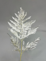 Папоротник белый "Rose"