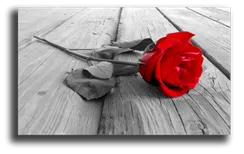 Постер "Красное на черно-белом"