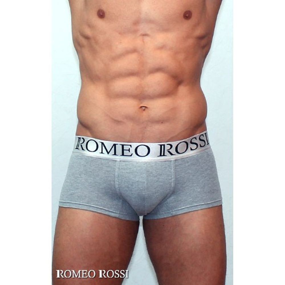 Мужские трусы боксеры серые Romeo Rossi Steel Grey Boxer RR00013-3