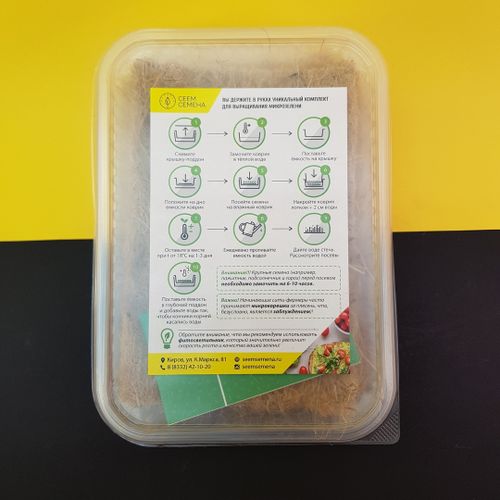 ВЫРАЩИВАНИЕ РАССАДЫ И  МИКРОЗЕЛЕНИ