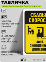 Табличка для обеспечения безопасности "Сбавьте скорость", для офиса, по охране труда для предприятия, организаций, 40х30 см, Silver Plane x Айдентика Технолоджи